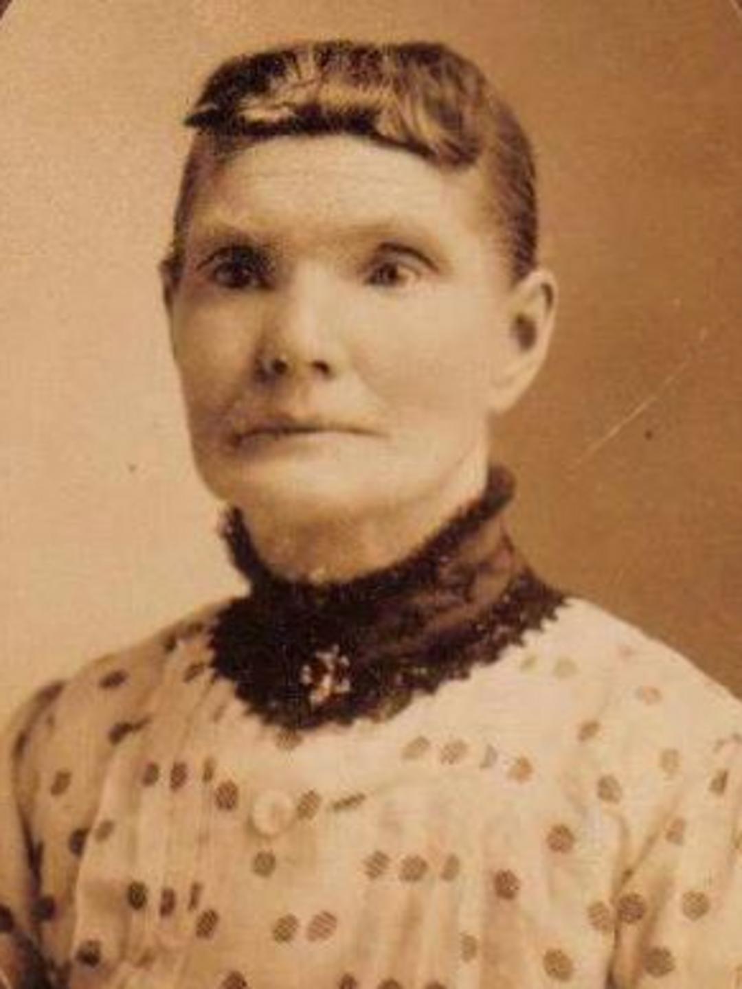 Hannah Dyantha Horr (1836 - 1917) Profile